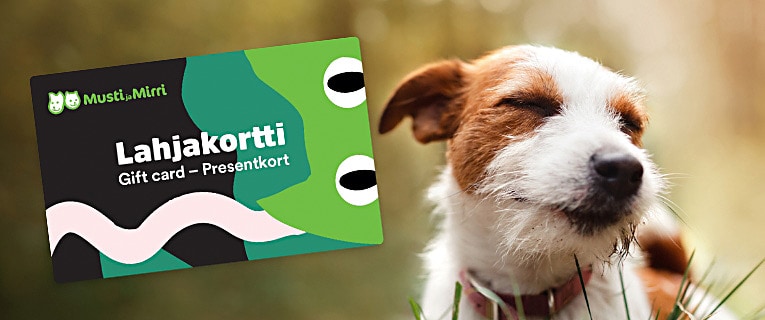 Myymäläämme on piilotettu 5 kpl lahjakortteja, löydätkö? Tuo löytämäsi kuori kassalle ja saat aktivoidun lahjakortin.