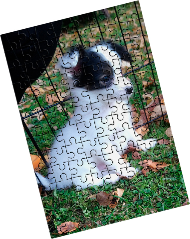 192 palaa kuvallasi.