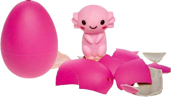 Kasvata oma aksolotl! Laita aksolotlin muna vesiastiaan ja jo muutaman päivän kuluessa se alkaa kuoriutua. Kuoriuduttuaan sisältä kurkkaava suloinen aksolotli kasvaa vedessä. Munia on vaaleansinisiä ja vaaleanpunaisia. Aksolotlin munia voivat kasvattaa kaikki yli 4-vuotiaat.

