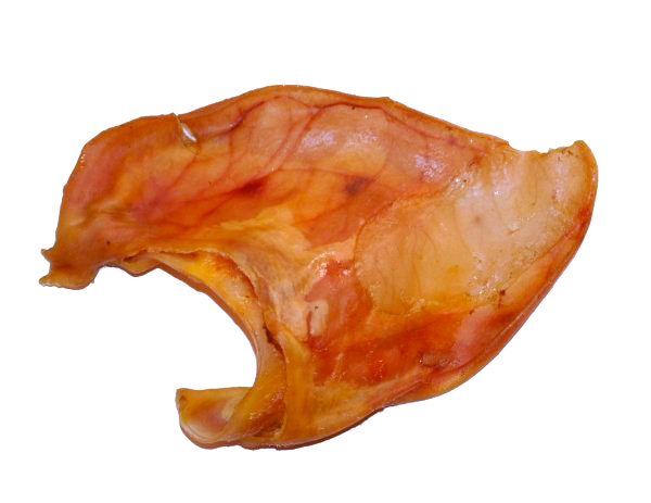 Eläinkauppa Megaeläin