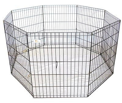 Eläinkauppa Megaeläin